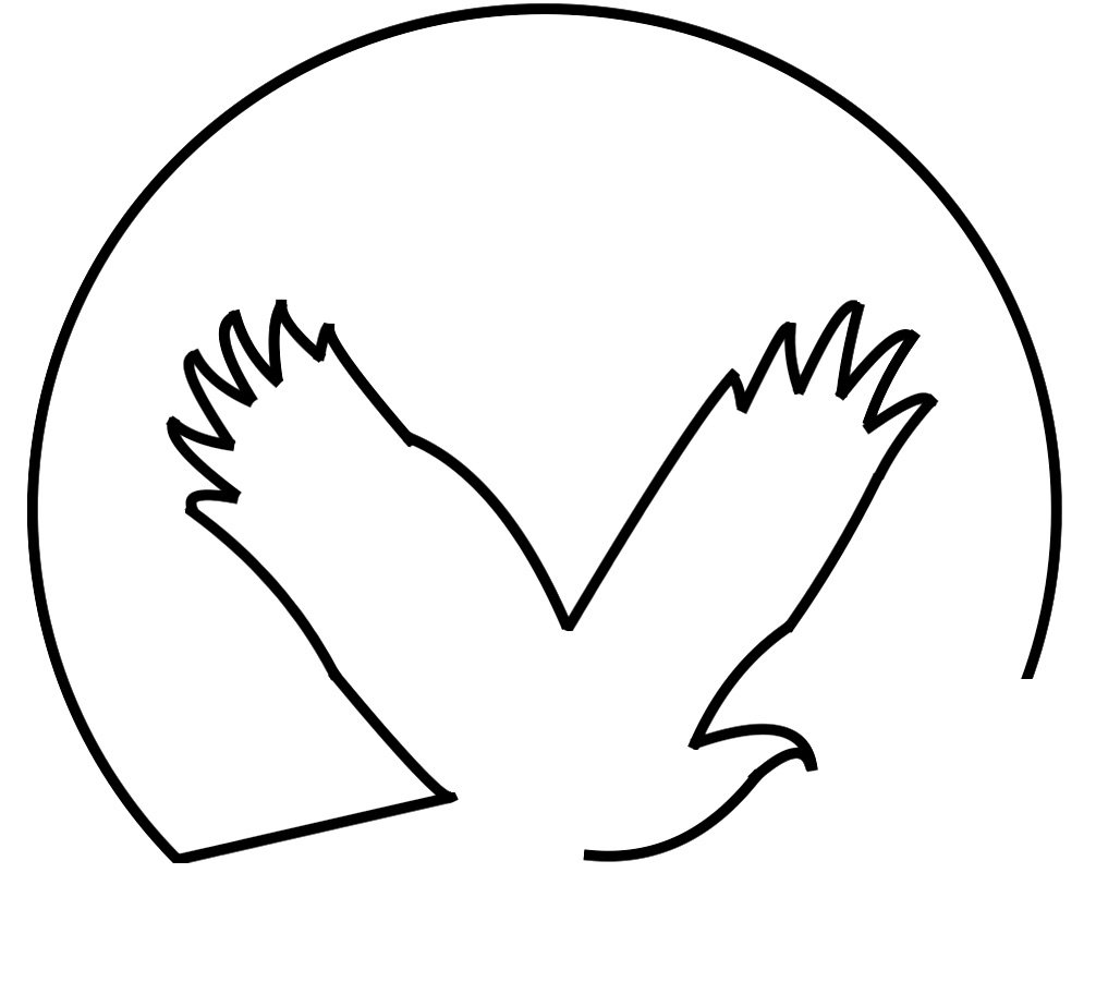  Change the eagle logo
